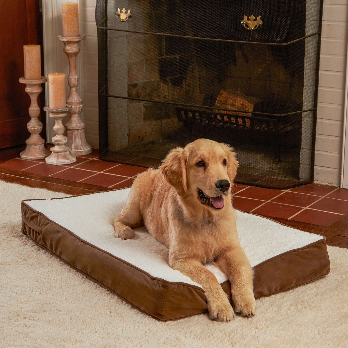 Happy Hounds Otis Orthopedic Pillow Dog Bed with Removable Cover, Latte, Small