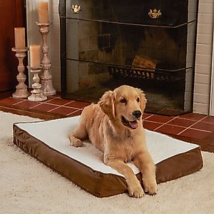 Happy Hounds Otis Orthopedic Pillow Dog Bed with Removable Cover, Latte, Small