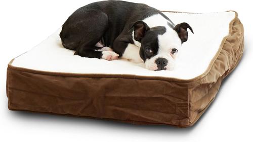 Show full view: Happy Hounds Otis Orthopedic Pillow Dog Bed with Removable Cover, Latte, X-Small slide 4 of 9