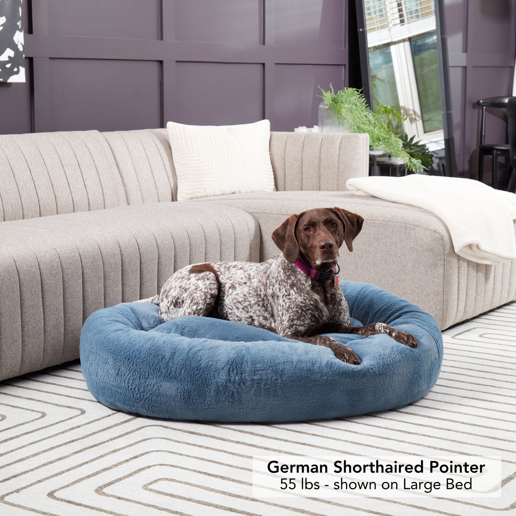 Happy Hounds Radley Faux Fur Donut Bolster Dog & Cat Bed with Removable Cover, Kerry Blue, Large