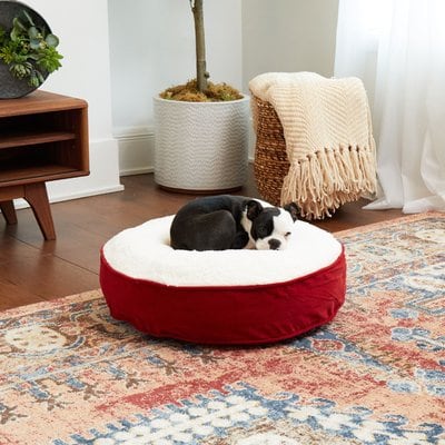 Happy Hounds Happy Hounds Scooter Deluxe Round Pillow Dog Bed with Removable Cover, Crimson, X-Small