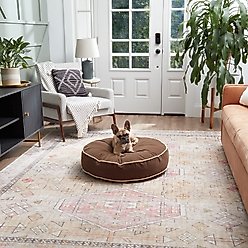 Happy Hounds Scooter Round Pillow Dog & Cat Bed with Removable Cover, Cocoa, Small