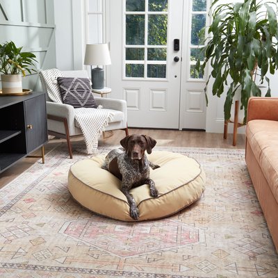 Happy Hounds Happy Hounds Scooter Round Pillow Dog & Cat Bed with Removable Cover, Cream, Large