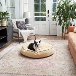 Happy Hounds Scooter Round Pillow Dog & Cat Bed with Removable Cover, Cream, Medium