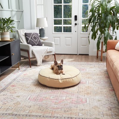 Happy Hounds Happy Hounds Scooter Round Pillow Dog & Cat Bed with Removable Cover, Cream, Small