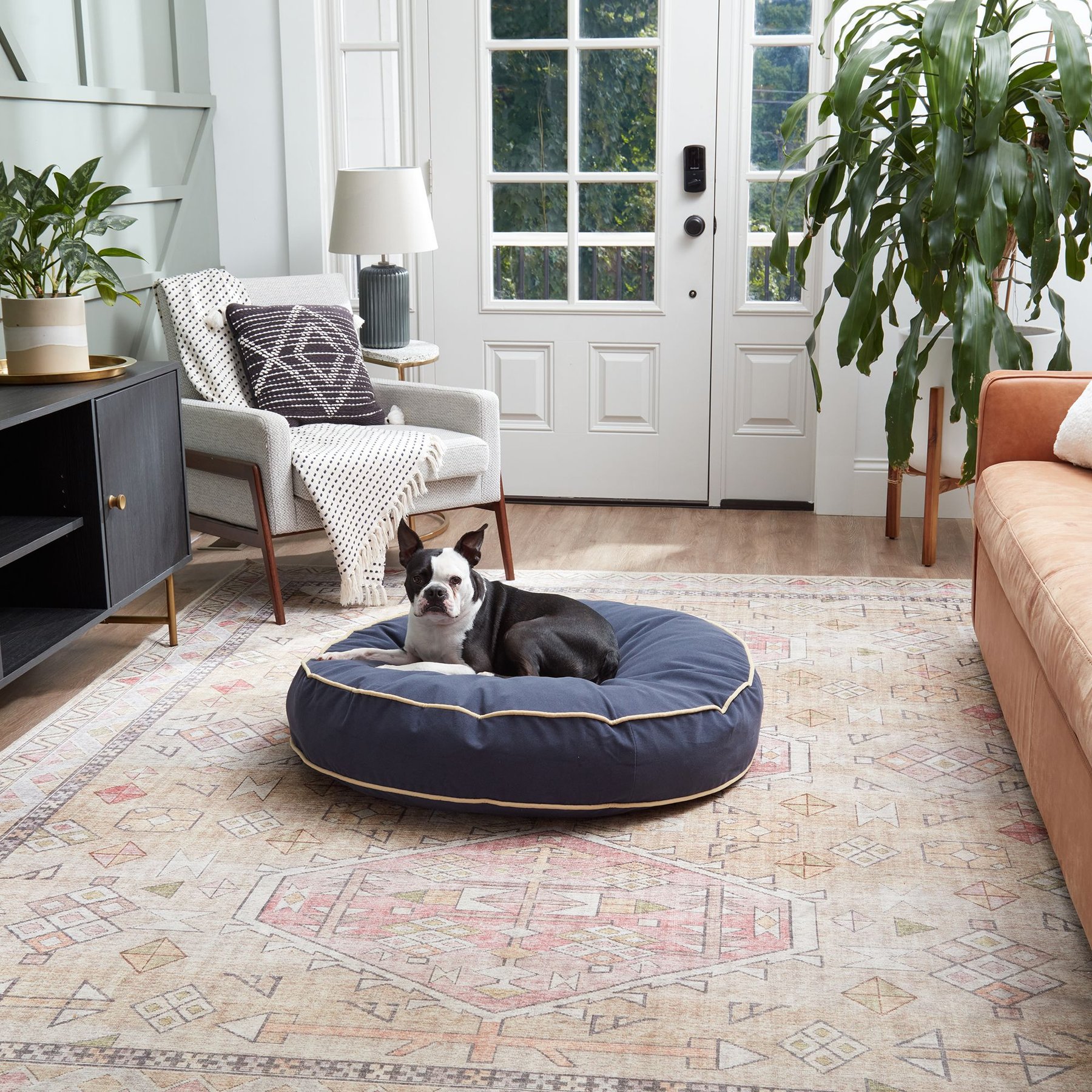 Happy Hounds Scooter Round Pillow Dog & Cat Bed with Removable Cover, Denim, Medium