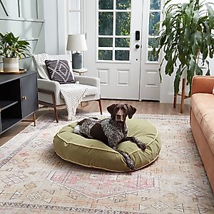 Happy Hounds Scooter Round Pillow Dog & Cat Bed with Removable Cover, Moss, Large