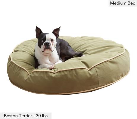 Show full view: Happy Hounds Scooter Round Pillow Dog & Cat Bed with Removable Cover, Moss, Medium slide 2 of 8