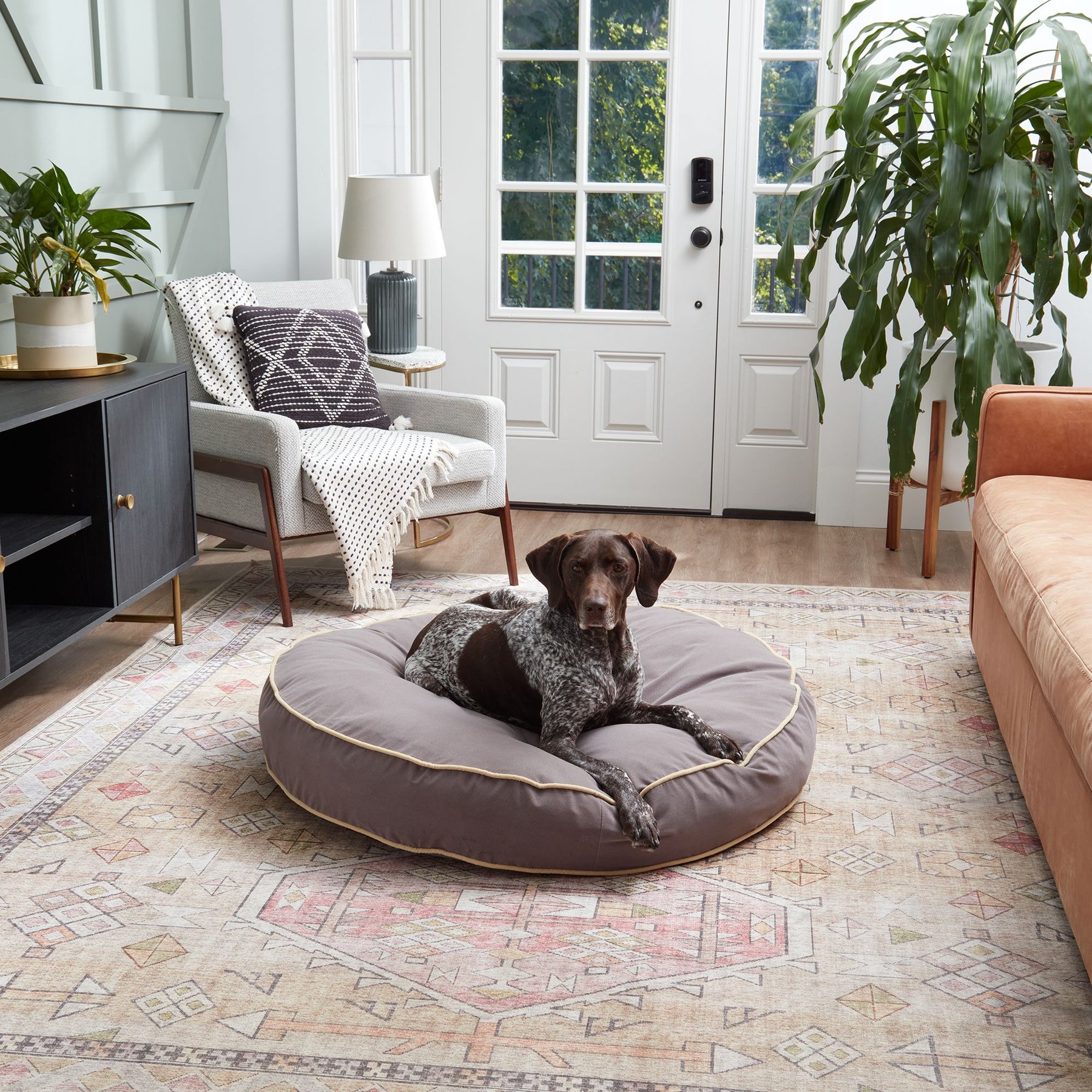 Happy Hounds Scooter Round Pillow Dog & Cat Bed with Removable Cover, Smoke, Large