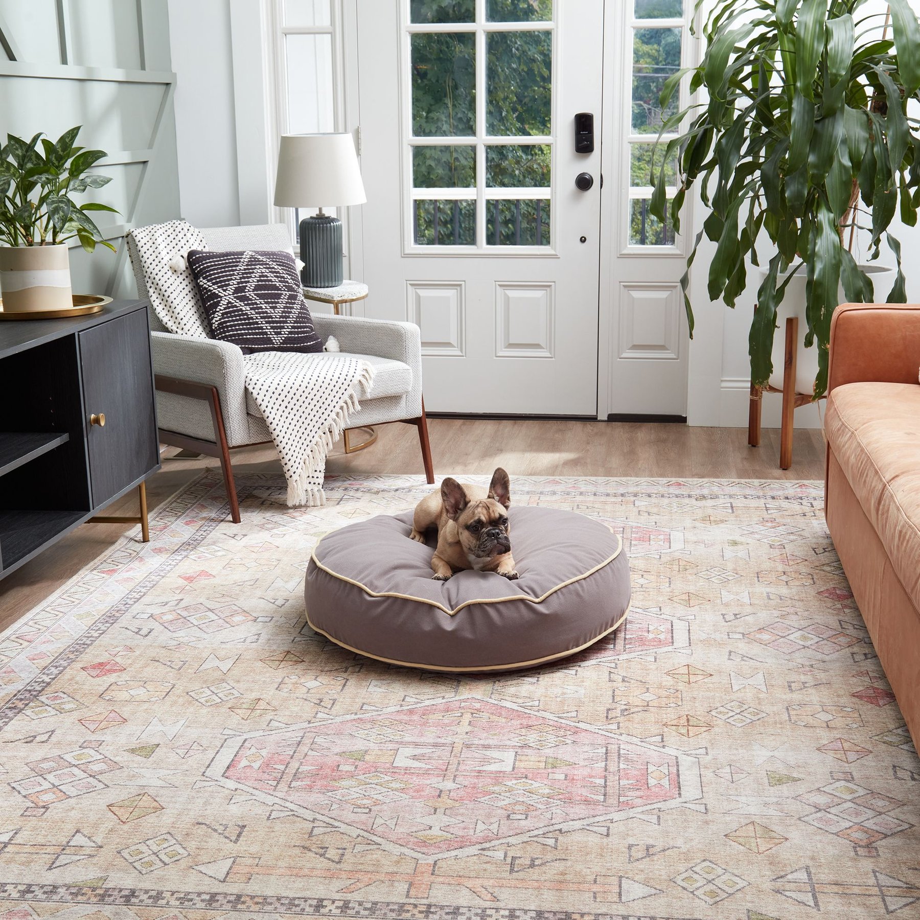 Happy Hounds Scooter Round Pillow Dog & Cat Bed with Removable Cover, Smoke, Small