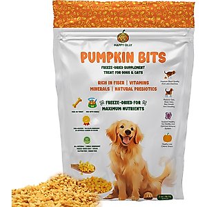 Happy Olly Freeze-Dried Pumpkin Treats Grain-Free Prebiotics & Fiber Freeze-Dried Dog & Cat Treats, 2-oz bag