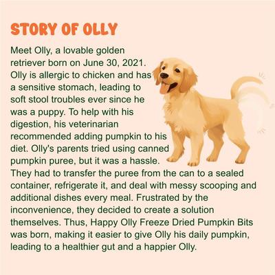 Show full view: Happy Olly Freeze-Dried Pumpkin Treats Grain-Free Prebiotics & Fiber Freeze-Dried Dog & Cat Treats, 2-oz bag slide 6 of 10
