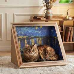 Happy & Polly 3D Retro Art Embellished Scratchers Cat Toy, Starry Night