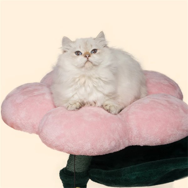 Show full view: Happy & Polly Bloomy Flower 24-in Plush Cat Tree, Large slide 5 of 9