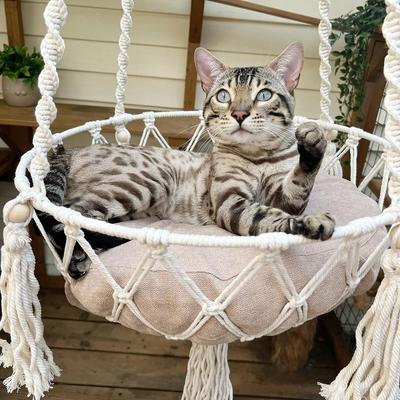 Show full view: Happy & Polly Bohemia Style Cat Hammock with Removable Cover, Beige, Medium slide 8 of 10