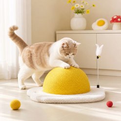 Happy & Polly Egg Series Sisal Cat Scratcher Toy, Yellow, Large