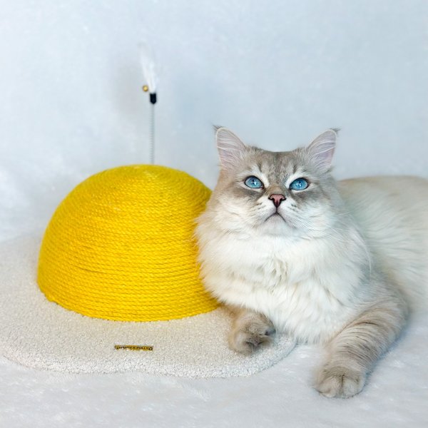 Show full view: Happy & Polly Egg Series Sisal Cat Scratcher Toy, Yellow, Large slide 2 of 11