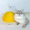 Show in main carousel: Happy & Polly Egg Series Sisal Cat Scratcher Toy, Yellow, Large slide 3 of 12