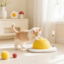 Happy & Polly Egg Series Sisal Cat Scratcher Toy, Yellow, Medium