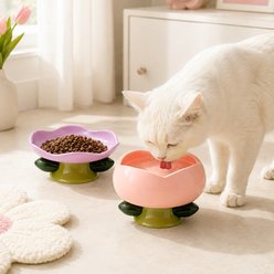 Happy & Polly Elevated Ceramic Flower Cat Bowl & Plate, Purple/Pink, 4-cup, 2 count