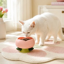 Happy & Polly Flower Shape Cat Bowl, Pink