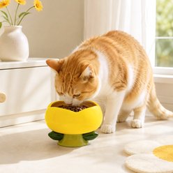 Happy & Polly Flower Shape Cat Bowl, Yellow