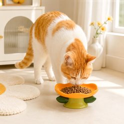 Happy & Polly Flower Shape Cat Plate, Yellow