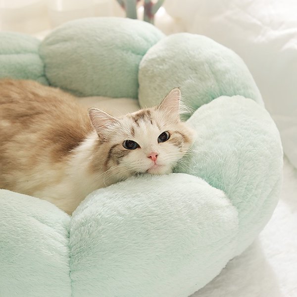 Happy & Polly Flower Shaped Bolster Dog & Cat Bed