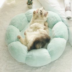 Happy & Polly Flower Shaped Bolster Dog & Cat Bed, Green, Small