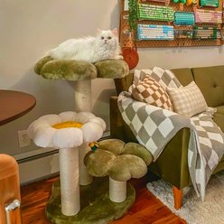 Happy & Polly Four Leaf Clover 35-in Plush Cat Tree, Green, Large