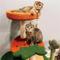 Show in main carousel: Happy & Polly Fruit World Plush Cat Tree, Large, 41-in slide 6 of 9