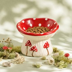 Happy & Polly Mushroom Meadow Ceramic Cat Elevated Water Bowl, 0.5-cup