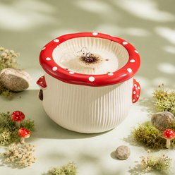 Happy & Polly Mushroom Meadow Automatic Ceramic Cat Water Fountain, 1-cup, 2 count slide 2 of 9