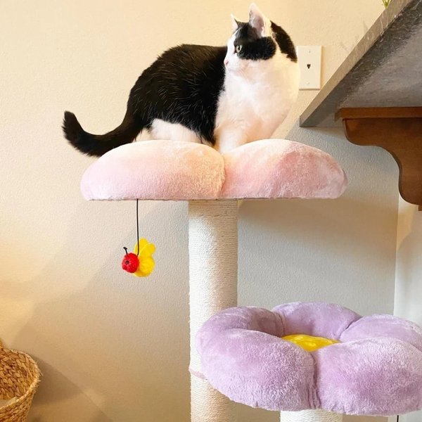 Show full view: Happy & Polly Three Flower 35-in Plush Cat Tree, Large slide 8 of 10