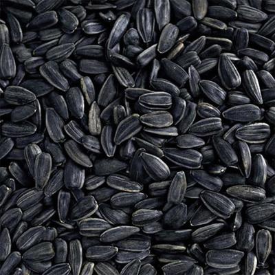 Show full view: Happy Wings Black Oil Sunflower Seed Wild Bird Food, 15-lb bag slide 6 of 7