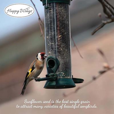 Show full view: Happy Wings Black Oil Sunflower Seed Wild Bird Food, 5-lb bag slide 5 of 7