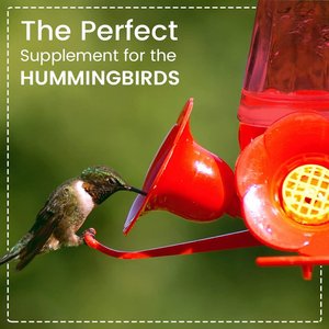 Happy Wings Red Nectar Concentrate Powder Wild Bird Food, 2-lb bag