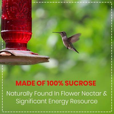 Show full view: Happy Wings Red Nectar Concentrate Powder Wild Bird Food, 2-lb bag slide 5 of 7