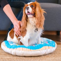 HappyCare Textiles 3D Realistic Donut Print Bolster Dog Bed, Sky Blue Dots Sprinkle, 35-in