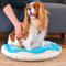 Show in main carousel: HappyCare Textiles 3D Realistic Donut Print Bolster Dog Bed, Sky Blue Dots Sprinkle, 35-in slide 1 of 7