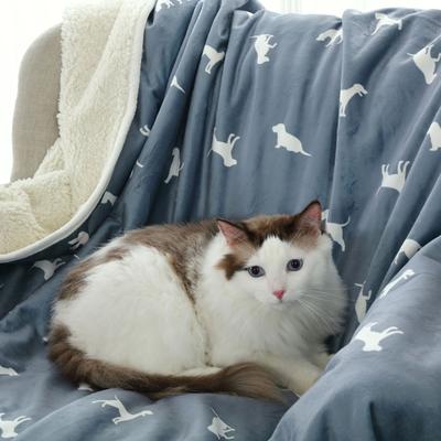 Show full view: HappyCare Textiles Advanced Pets Waterproof Cat & Dog Blanket, 50x60-in, White/Grey Dog slide 5 of 9