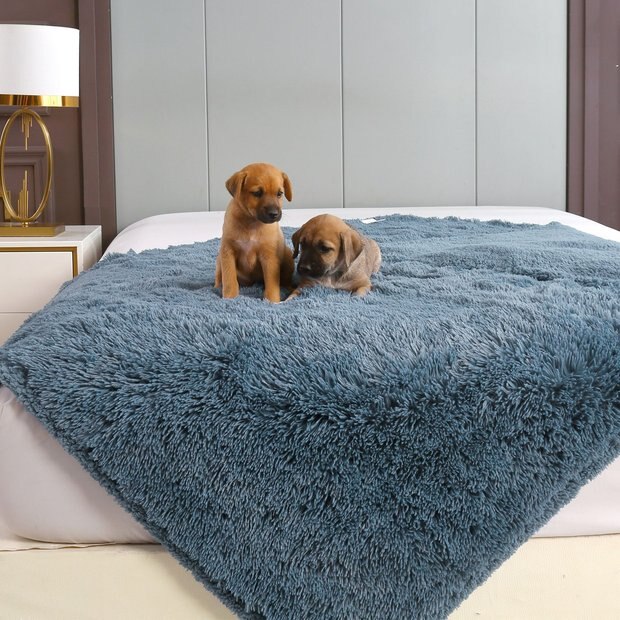 Body Glove Sun & Sand Waterproof Dog Throw Blanket