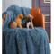 Show in main carousel: HappyCare Textiles Duplex Warm Comfort Faux Fur Sherpa Waterproof Dog & Cat Blanket, Blue, Small slide 4 of 9