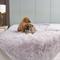 Show in main carousel: HappyCare Textiles Duplex Warm Comfort Faux Fur Sherpa Waterproof Dog & Cat Blanket, Light Grey, Small slide 1 of 10