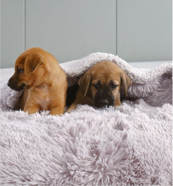 Show full view: HappyCare Textiles Duplex Warm Comfort Faux Fur Sherpa Waterproof Dog & Cat Blanket, Light Grey, Small slide 5 of 9