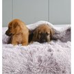 Show in main carousel: HappyCare Textiles Duplex Warm Comfort Faux Fur Sherpa Waterproof Dog & Cat Blanket, Light Grey, Small slide 5 of 9