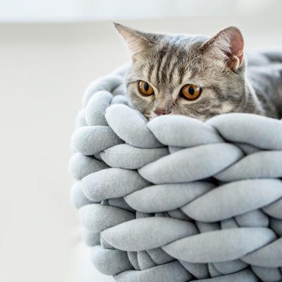 Show full view: HappyCare Textiles Luxurious Chunky Crochet Comfort Round Bolster Dog & Cat Bed, Grey, Medium slide 6 of 10