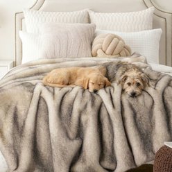 HappyCare Textiles Luxury Tipped Faux Fur Dog Blanket, Cream/Grey, 50 x 60-in