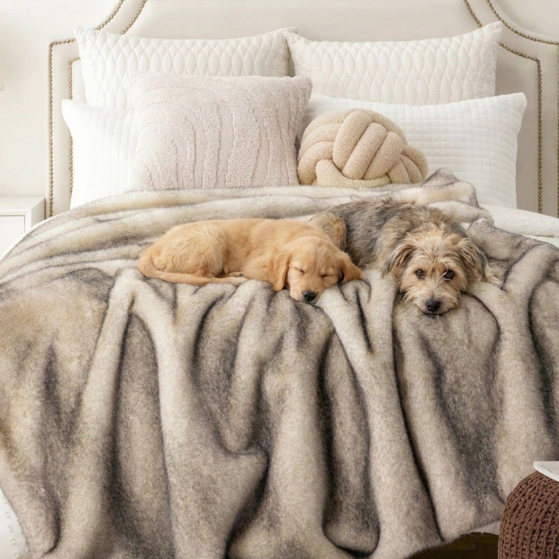 HappyCare Textiles Luxury Tipped Faux Fur Dog Blanket, Cream/Grey, 50 x 60-in