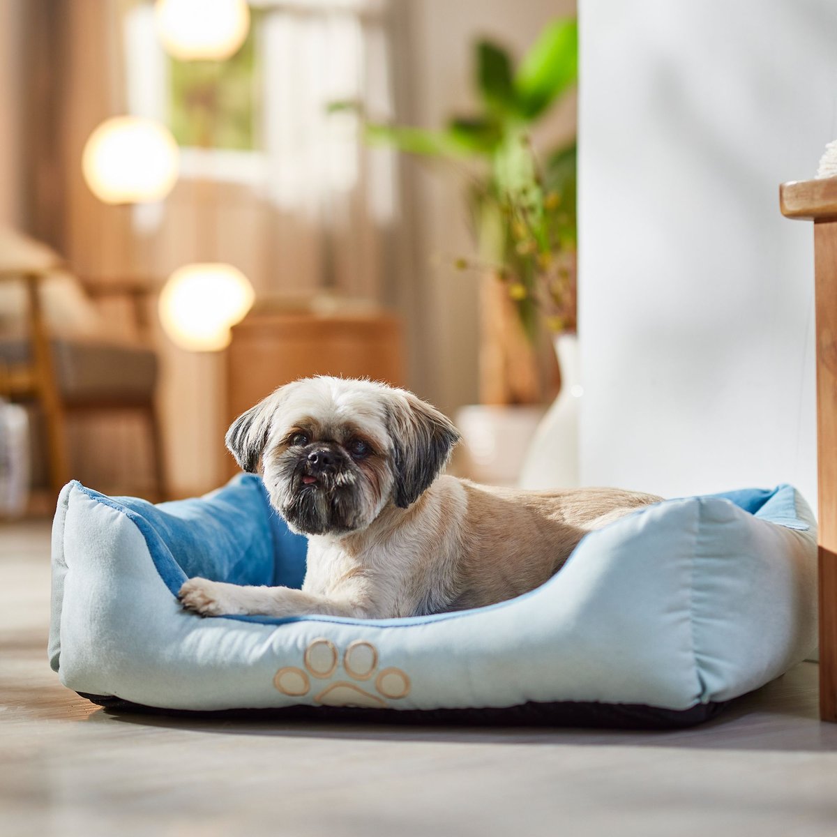 HappyCare Textiles Rectangle Bolster Cat & Dog Bed